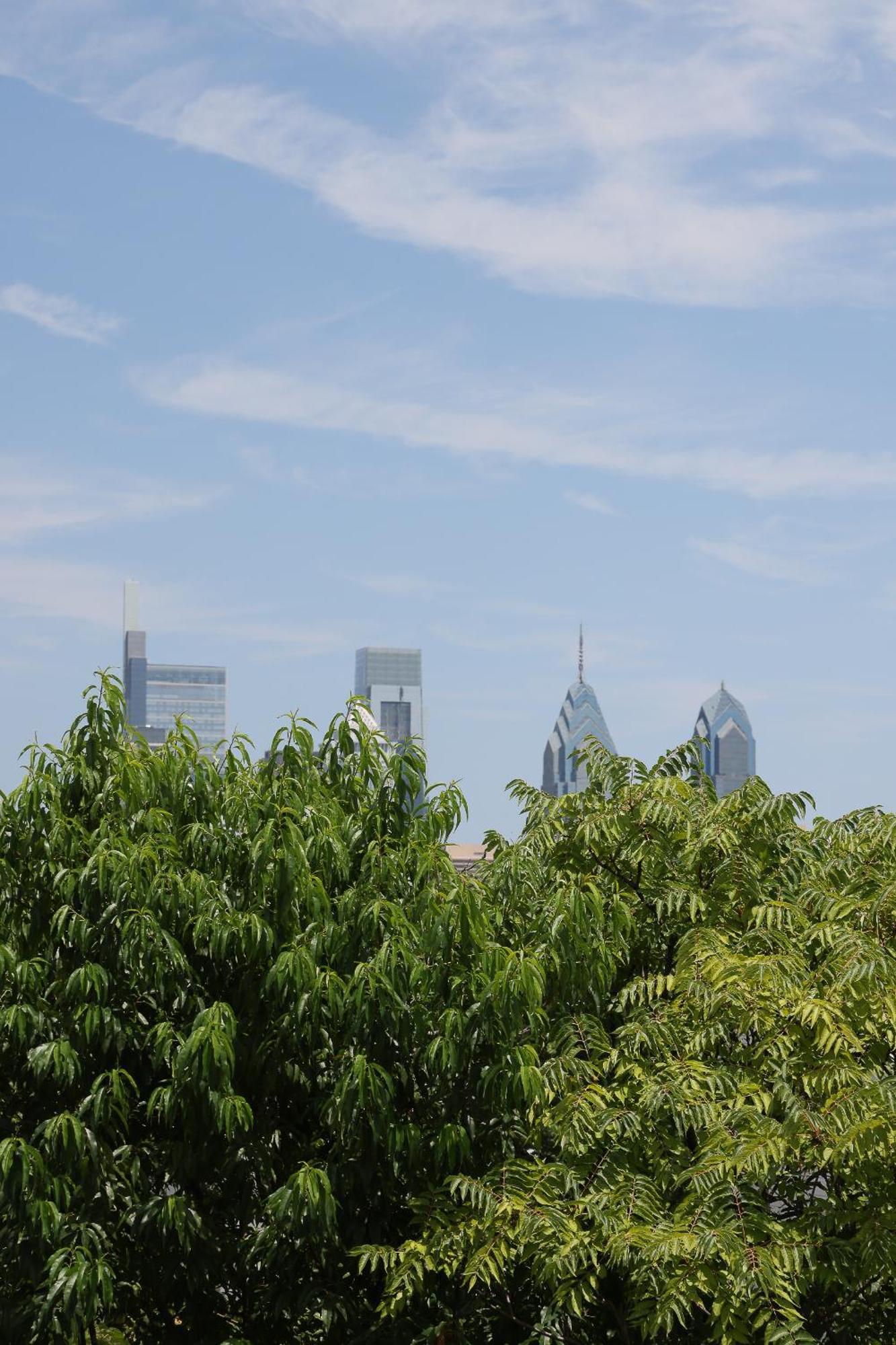 פילדלפיה Peaceful Zen Getaway In The City מראה חיצוני תמונה
